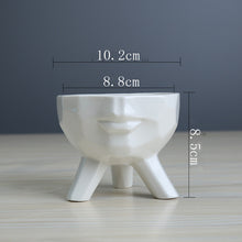 Load image into Gallery viewer, Simple And Creative White Succulent Flower Pot