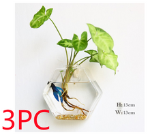 Load image into Gallery viewer, Fashion Wall Hanging Glass Flower Vase Terrarium Wall Fish Tank Aquarium Container Flower Planter Pots Home Garden Decoration