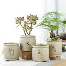 Load image into Gallery viewer, Succulent Flower Pot With Tray Ceramic Medium And Large