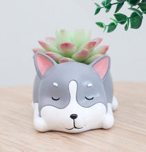 Load image into Gallery viewer, Animal Planter Pot