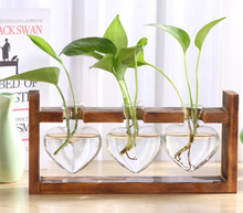 Load image into Gallery viewer, Glass Wood Vase Table Desktop Hydroponics Plant Stationery Bonsai Flower Pot Decoration Hanging Pots with Wooden Tray Pen Holder