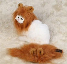 Load image into Gallery viewer, Funny Pet Hat For Small Dogs Cats Hat Emulation Lion Hair Mane Ears Head Cap Scarf Pet Halloween Festival Costume