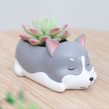 Load image into Gallery viewer, Creative Sleeping Pet Succulent Flower Pot