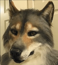 Load image into Gallery viewer, Werewolf Costume Party Mask Halloween Simulation Animal Rotate Headwear Costume Wolf Face Masks Cosplay