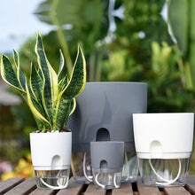 Load image into Gallery viewer, Automatic water absorption plastic flower pot