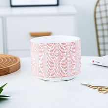 Load image into Gallery viewer, European style simple succulent plant pot