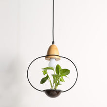 Load image into Gallery viewer, Plant Chandelier