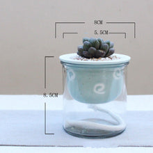 Load image into Gallery viewer, Cartoon glass ceramic flower pot