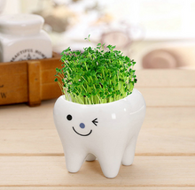 Load image into Gallery viewer, Teeth flower pot simple dehua white porcelain succulent potted tabletop flower pot potted ornaments