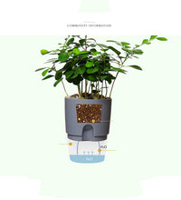 Load image into Gallery viewer, Automatic water absorption plastic flower pot
