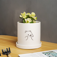 Load image into Gallery viewer, Matte Straight Personality Indoor Ceramic Flowerpot