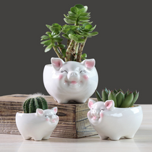 Load image into Gallery viewer, Simple Nordic Cartoon Animal Succulent Flower Pot Ceramic Decorative Ornaments