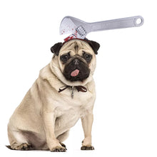 Load image into Gallery viewer, Pet Dog Cats Headdresses Halloween Pet Cat Headgear