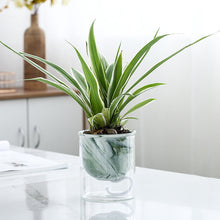 Load image into Gallery viewer, Marbled Hydroponic Ceramic Flower Pot