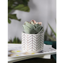 Load image into Gallery viewer, Modern And Simple Ceramic Flower Pots Home Fashion Green Planting Pots