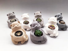 Load image into Gallery viewer, Succulents Handmade Cement Plant Creative Flower Pot