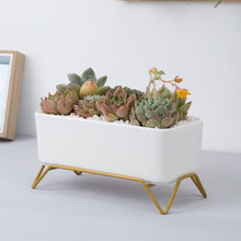 Load image into Gallery viewer, Huaxiaju Simple Nordic Creative Rectangular Succulent Flower Pot