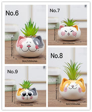 Load image into Gallery viewer, Ceramic flower pot