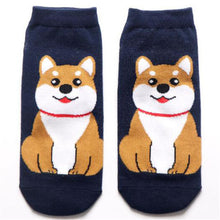 Load image into Gallery viewer, Calcetines Beagles - Beagle Socks
