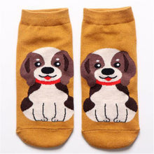 Load image into Gallery viewer, Calcetines Beagles - Beagle Socks