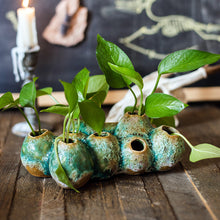 Load image into Gallery viewer, Barnacle Vase Flower Pot Porous