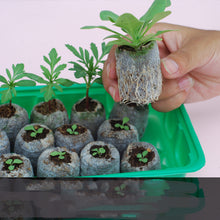 Load image into Gallery viewer, Gardening Tools Succulent Gardening Supplies Set Combination Planting Flowers Green Plants Succulents Tools