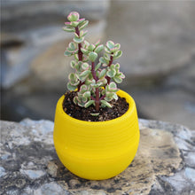 Load image into Gallery viewer, Succulents Flower Pots Mini Flower Pots Plastic Imitation Ceramic Stone Pill Flower Pots Color Full Resin Flower Pots