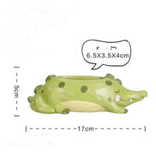 Load image into Gallery viewer, Creative Cute Cartoon Succulents Flower Pot Hippo Giraffe Plant Decoration Flower Desktop Potted Ornaments