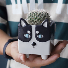 Load image into Gallery viewer, Cute Animal Ceramic Flowerpot Succulent Little Lion Shiba Inu Erha Kitten Gardening Tabletop Planting