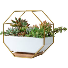 Load image into Gallery viewer, Nordic Minimalist Creative Geometric Wrought Iron Metal Bracket Ceramic Flower Pot Set Succulents Green Plants Potted Ornaments