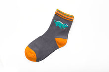 Load image into Gallery viewer, Boy Socks Big, Medium And Small Children's Socks Dinosaur