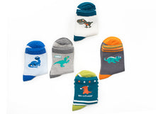 Load image into Gallery viewer, Boy Socks Big, Medium And Small Children's Socks Dinosaur