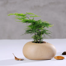 Load image into Gallery viewer, Succulent Flower Pots Imitation Stone Ceramic Potted Flower Pots