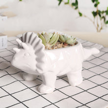 Load image into Gallery viewer, Cartoon Animal Dinosaur Succulents Ceramic Flower Pot