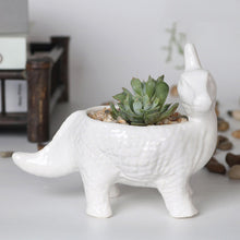 Load image into Gallery viewer, Cartoon Animal Dinosaur Succulents Ceramic Flower Pot