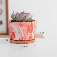Load image into Gallery viewer, Straight Round Marble Ceramic Succulent Flower Pot