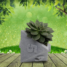 Load image into Gallery viewer, 3D Printed Plant Pot Table Top RPG Dice Succulent Planter Set Home Decoration Multifunction Garden Flower Pot