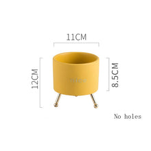 Load image into Gallery viewer, Creative Personality Iron Ceramic Flowerpot