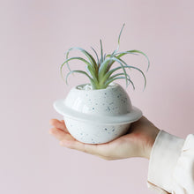Load image into Gallery viewer, Ceramic Succulent Flower Pot
