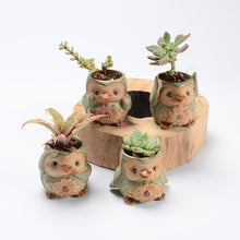 Load image into Gallery viewer, Succulent ceramic flower pot