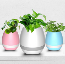 Load image into Gallery viewer, Music Flowerpot