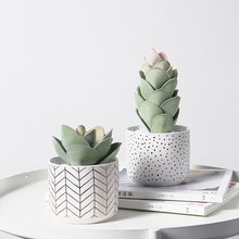 Load image into Gallery viewer, Modern And Simple Ceramic Flower Pots Home Fashion Green Planting Pots