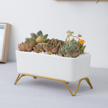 Load image into Gallery viewer, Huaxiaju Simple Nordic Creative Rectangular Succulent Flower Pot