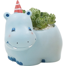 Load image into Gallery viewer, Creative Cute Cartoon Succulents Flower Pot Hippo Giraffe Plant Decoration Flower Desktop Potted Ornaments
