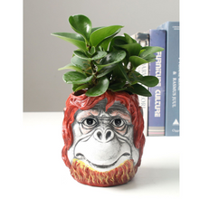 Load image into Gallery viewer, Simulation Resin Ape Head Flower Pot