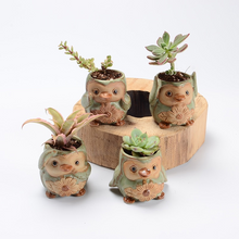 Load image into Gallery viewer, Succulent ceramic flower pot