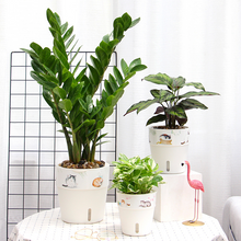 Load image into Gallery viewer, Water storage plastic flower pot