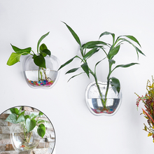 Load image into Gallery viewer, Hot wall greenkindergarten wall pot hydroponics Chlorophytum Home Furnishing study restaurant wall decorations