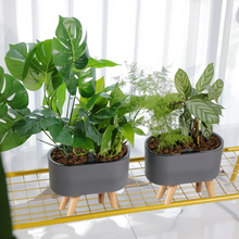 Load image into Gallery viewer, Automatic Water-absorbing Flower Pot Home Office Desktop Balcony
