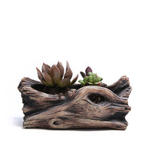 Load image into Gallery viewer, Cement root carving succulent flower pot